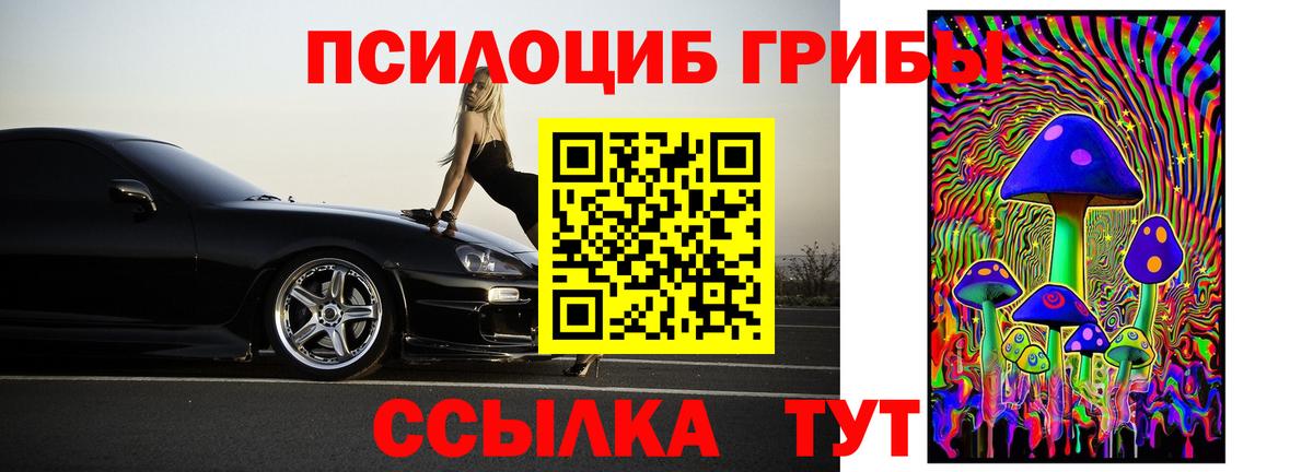 Галлюциногенные грибы MAGIC MUSHROOMS Калининград